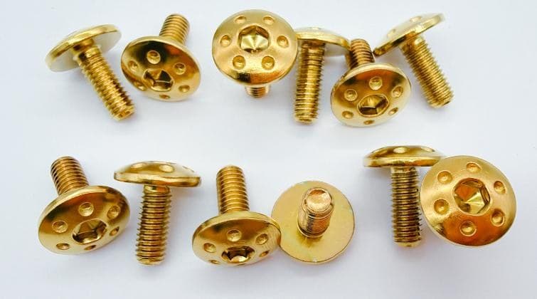 CSL SCREW ( NOT SOLD SEPARATELY) Variant image - CSL HEAD GUARD BOLTS #6X15 GOLD /BOTTLE - CSL-CSL-SCREW-NOT-SOLD-SEPARATELY-13F98584-CSL-HEAD-GUARD-BOLTS-6X15-GOLD-BOTTLE-AD5D49A7