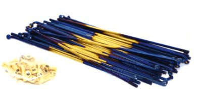 OK SPOKES BLUE/GOLD